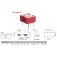 DS-06